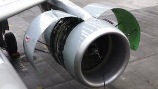 Airbus A320-214, CFMI CFM56-5B4/3 Engine Cleaning after a BIRDSTRIKE [FULL HD]