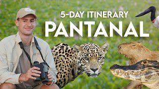 5-Day Itinerary: Pantanal (Jaguar Safari in Brazil)
