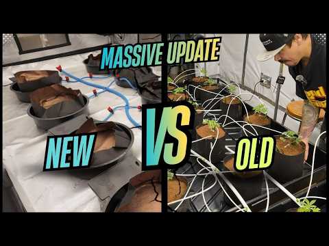 Home Grow TV and Q's Garden