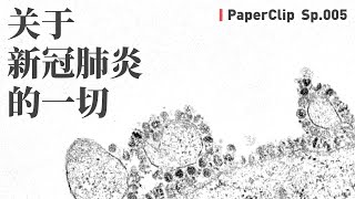 Re: [情報] 以戰略思考看武漢肺炎