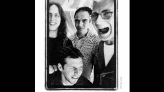 Soul Coughing - Laugh On Fatboy (Live)