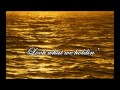Brandon Beal ft. Lukas Graham - Golden lyrics video