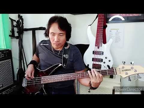 EVERY BODY HURTS By: R.E.M ( Bass Cover )