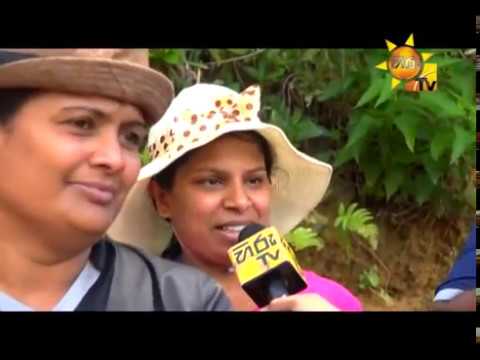 Hiru TV