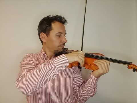 5. Cum se canta corzi libere la vioara