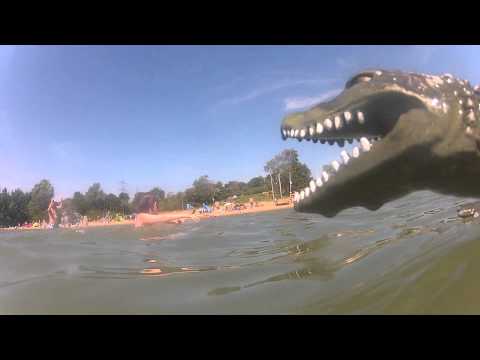 Sammy das Krokodil vom Baggerloch - ein kurzer Nachruf