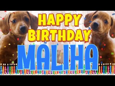 Happy Birthday Maliha! ( Funny Talking Dogs ) What Is Free On My Birthday