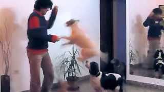 The sharing song (Jack Johnson) - Cover by Matias Ortiz