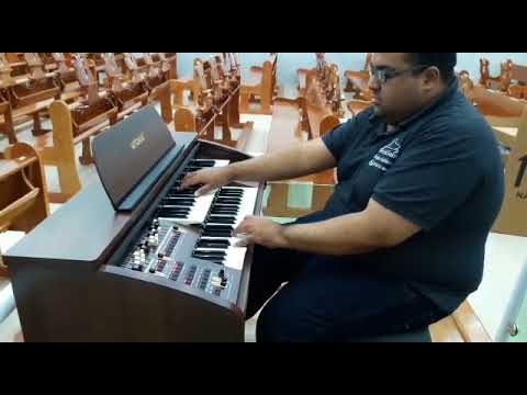 Órgão Eletrônico Tokai MD-7 - Loja Teclasom (Registração no Parque Montreal / Franco da Rocha - SP)