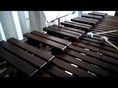 Inni di lode N°440: Tu che scendesti Marimba Cover