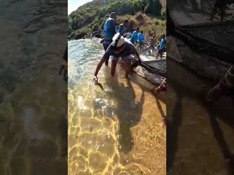 NÃO PESCAMOS ARRAIAS