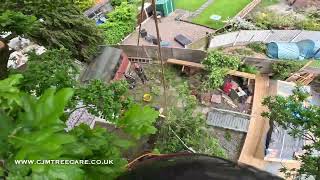 Album cover: Crown Reductions/Pruning