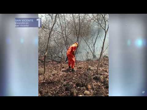 Bomberos controlan incendio en terreno con vegetación seca en San Vicente. Noticiero Hechos