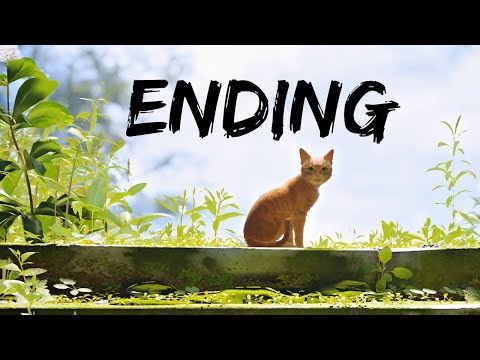 Stray Gameplay Ending | STRAY ENDING FINAL CHAPTER (4K 60FPS)