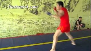 Sanda Roundhouse Kick