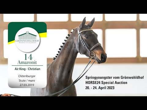 Springyoungster Auktion Lot 14 Amazonit Stute v. Air King - Christian