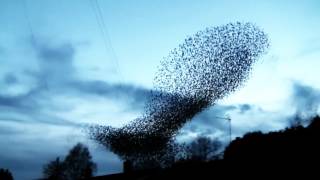 Mark Lanegan - First Day Of Winter