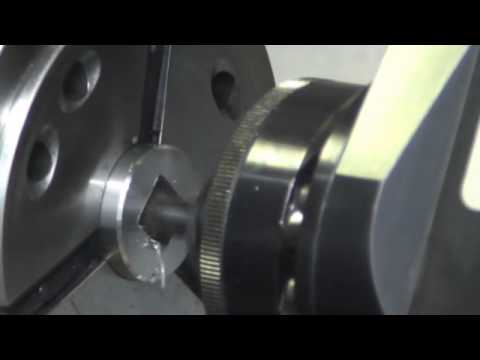 01Freifogeo&Nuten eff gef Eng