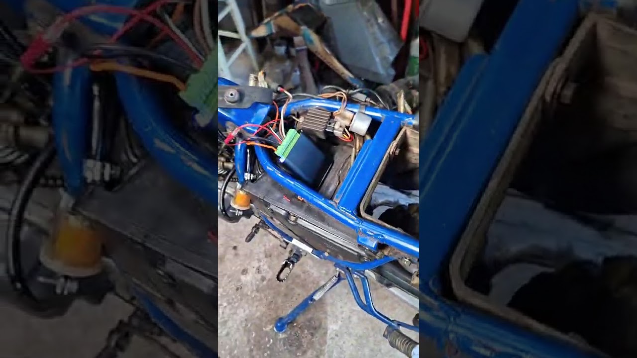 YouTube Shorts preview