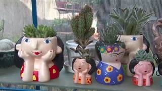 Miniatura do vídeo