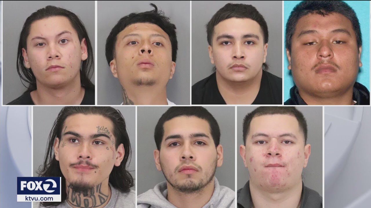 12 arrested in alleged San Jose gang sweep
