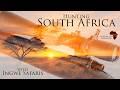 Plains Game In Beautiful South Africa Ingwe Safaris And African Sun Productions Great Hunt