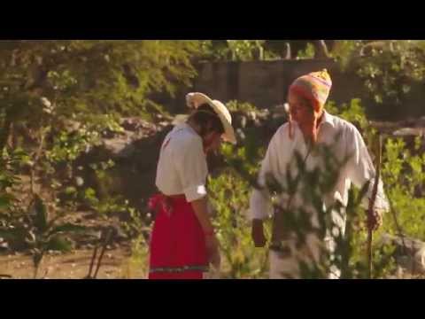 BANDY2 - Y NO PUEDO MAS FULL HD