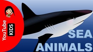 Learn Sea Animals Names and Sounds with Actual Pictures - YouTube Kids