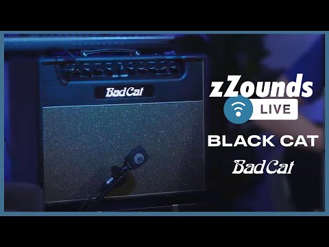 Bad Cat Black Cat Guitar Amplifier Head (20 Watts), Open Box (Like New) image 5