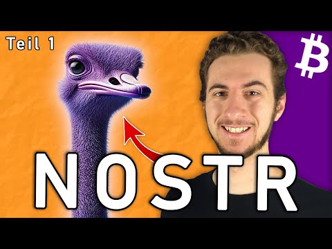 NOSTR in 21 Minuten einfach erklärt! video thumbnail