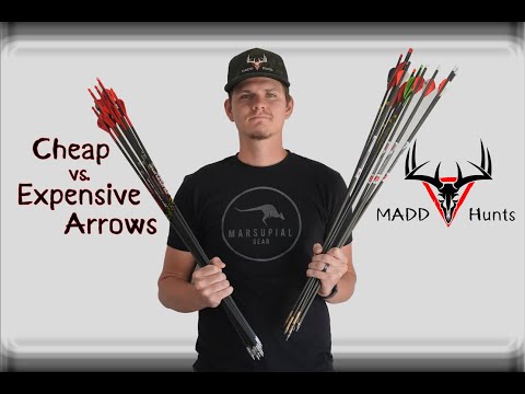 Cheap vs. Expensive Arrows Cheap vs. Expensive Arrows