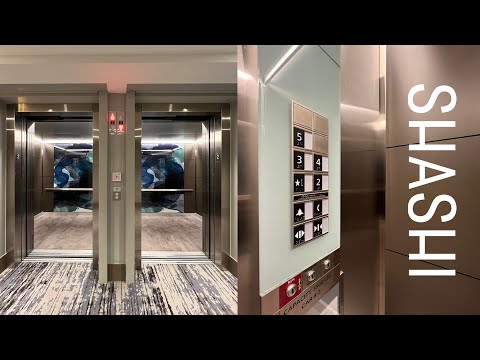 Sleek & Modern Schindler 3300 Traction Elevators - Shashi Hotel - Mountain View, CA