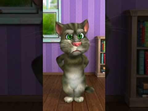 tomtom na #tomtom#shorts #cat