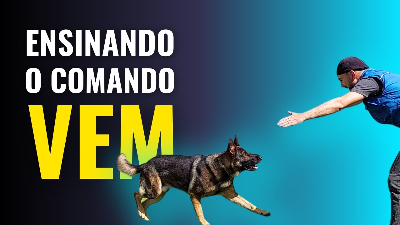 SUPER TÉCNICA do COMANDO VEM - Ensine seu cachorro VIR QUANDO CHAMADO