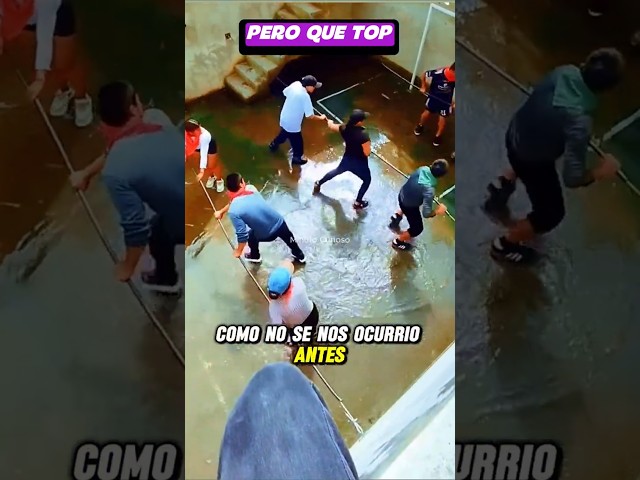 Vídeo relacionado con vidaXL Futbolín Juegos de Interior Simulación Deportes Diversión Casa Hogar Pub Local Sala Juegos Entretenimiento Robusto Color Arce 69x37x62cm