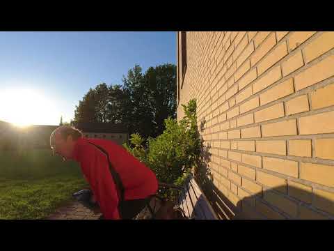 MongoTV_9697 - Spiser Af En Pose CHIPS På En Bænk i Aftenssol Sent Mandag Aften