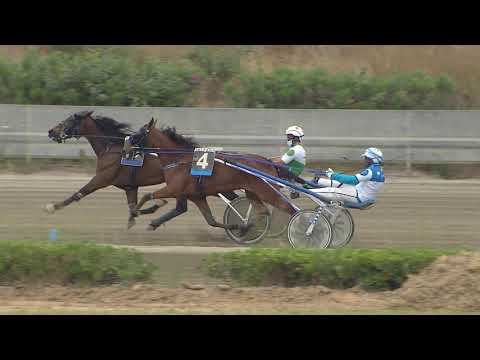 IV Corsa - Premio Referendum - 2 Giugno 2021