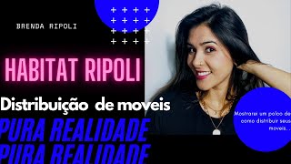 distribuição de moveis. | HABITAT RIPOLI