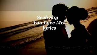 Seeb - Say You Love Me  lyrics