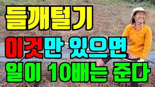 5탄)들깨털기 들깨선별 10배쉬워집니다. 비법공개,들깨수확시기 들깨터는시기,들깨터는방법,들깨도리깨질하는 방법