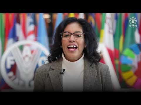 Institucionalización de datos forestales: Curso facilitado en línea