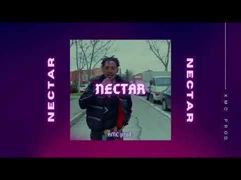 Gunna X Don Toliver X Papi Trujillo Type Beat - "Nectar" (XMC prod.) | Guitar Flute Type Beat