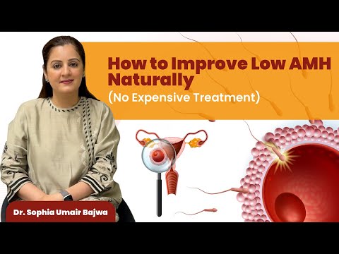 How to Improve Low AMH Naturally (No Expensive Treatment