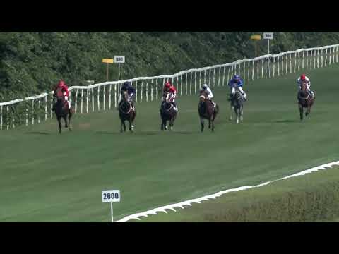 2018.08.19. 02. futam - REMÉNY DÍJ (II.kat.)