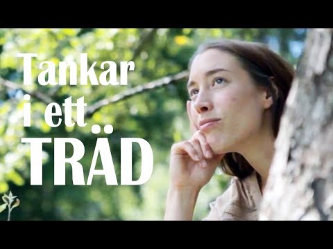 TÄNKARTRÄDET: Palmolja