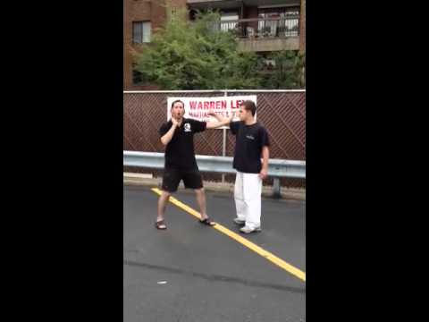 Krav Maga, hook defense- Warren Levi