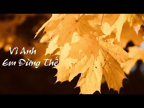 Vì anh em đừng thế - Lại Văn Nam