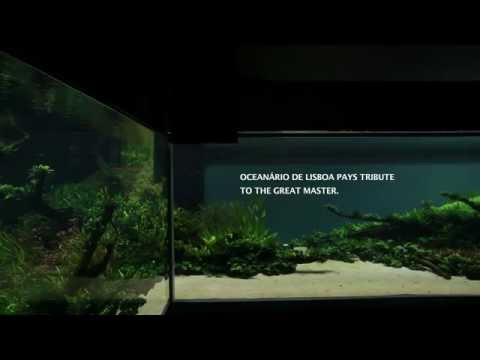 Oceanário de Lisboa pays tribute to the great master, Takashi Amano