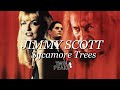 JIMMY SCOTT "SYCAMORE TREES" (Legendado PT-BR) [Twin Peaks]
