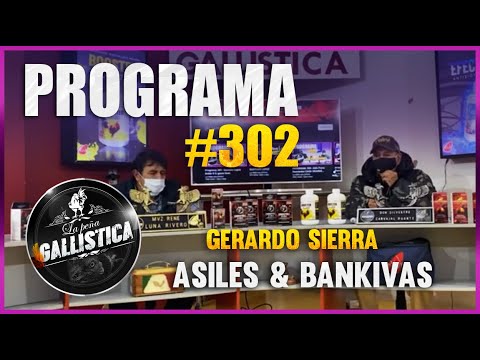 programa 302-gerardo sierra